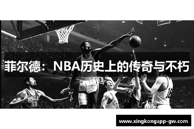 菲尔德：NBA历史上的传奇与不朽