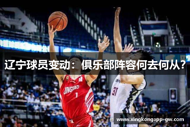 辽宁球员变动：俱乐部阵容何去何从？