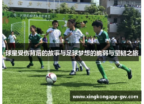 球星受伤背后的故事与足球梦想的脆弱与坚韧之旅